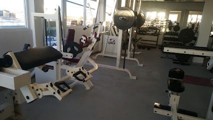 Professional Gym
