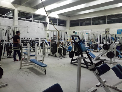 Gimnasio de Fisicoculturismo