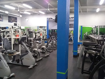 Point Gym