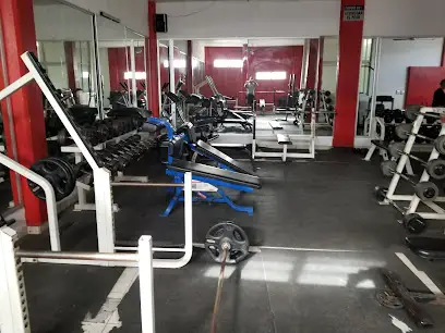 Mega Fitness