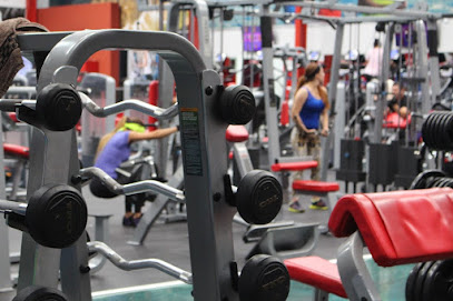 Sport Trainning