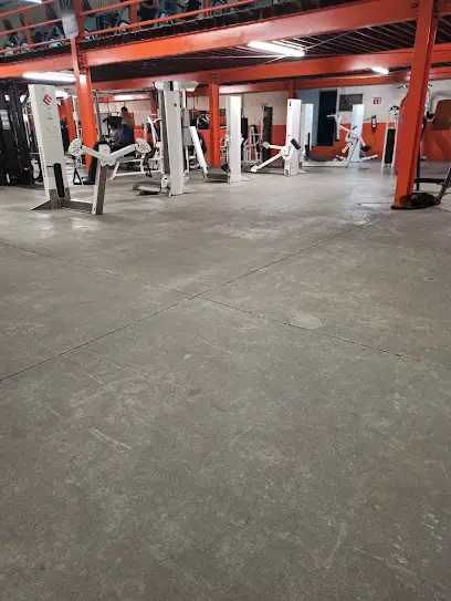 Ares Gym & Fitness