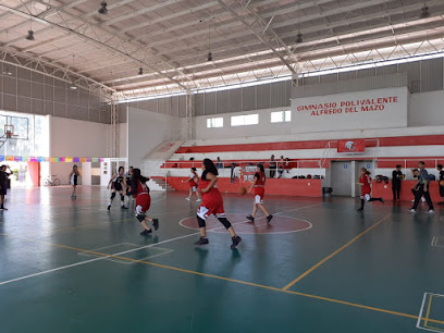 Gimnasio Polivalente Alfredo del Mazo