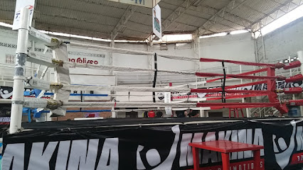 ARENA DEL DEMONIO BLANCO