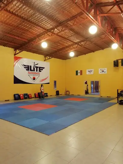 Elite taekwondo Ocotlán