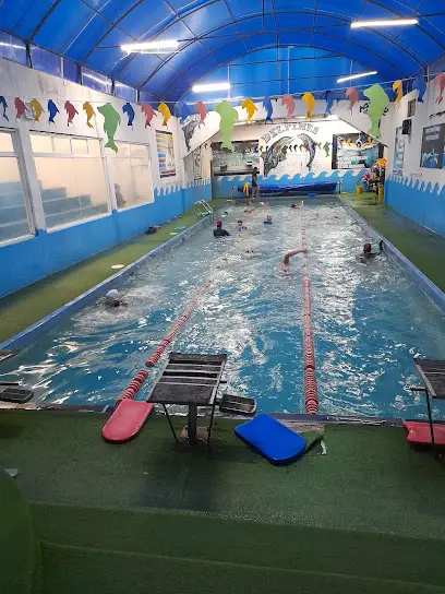 Gimnasio Club Acuatico Delfines