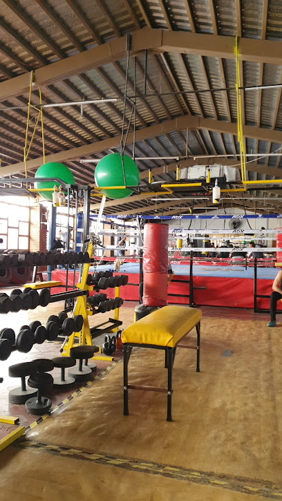 UMA Club de Box