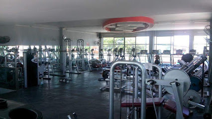 The Row II