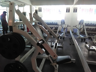 Bravus Gym El Bosque
