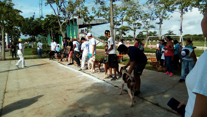 Unidad Deportiva "Nazur", Balancan