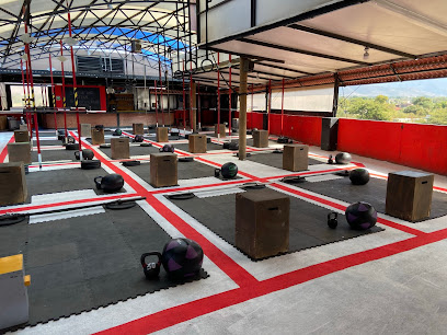 MT-S (Multiple Training Systems)
