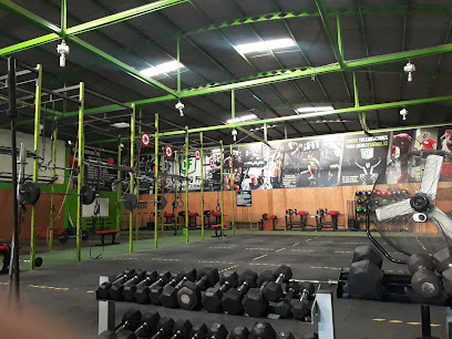 Centro FIT