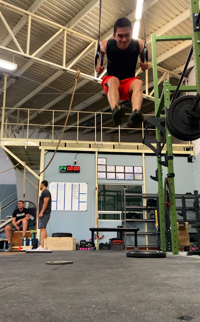 Apocalypse Training System