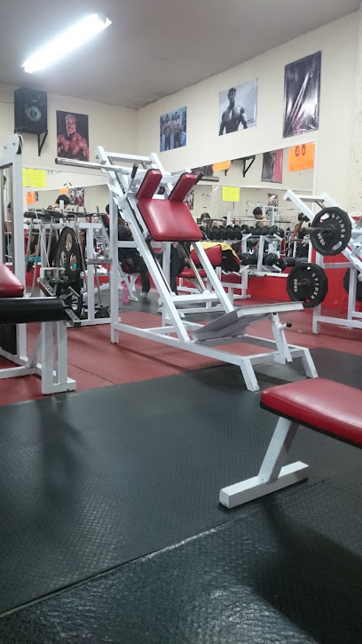 Spider GYM
