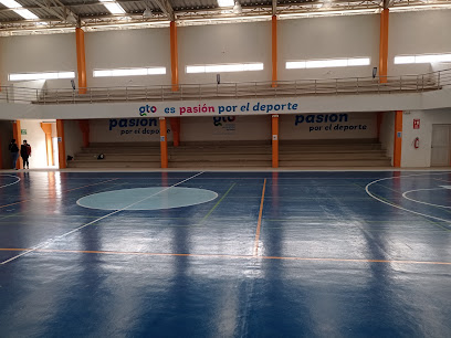 Gimnasio Deportivo Luis Donaldo Colosio