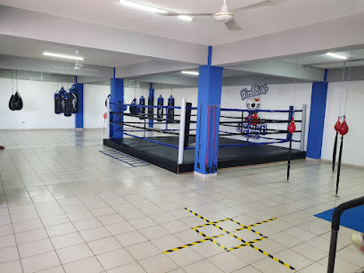 edelstahl gym