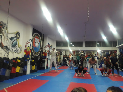GYM & TAEKWONDO TIGRE