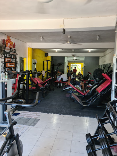 El Gym de Ali