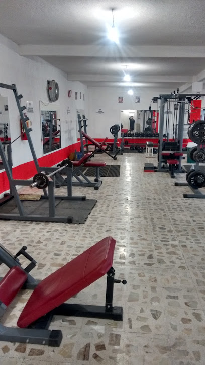 Tiger Gym Muscle Fitness