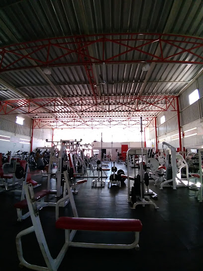 Lions Gym Autlan