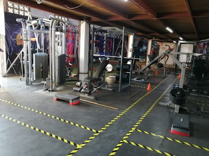Biosen Gym