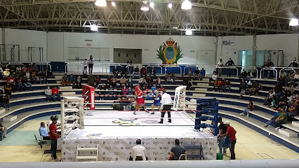 Palacio de los Combates