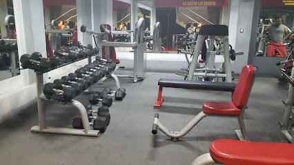 SPORT TON