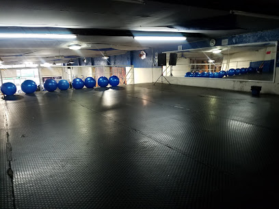 CESARS GYM ZONA ROSA