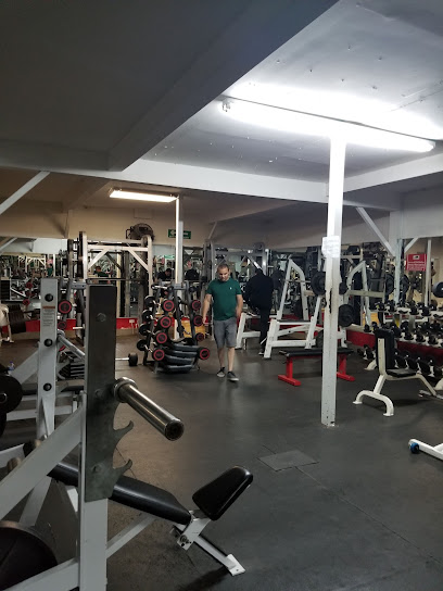 LEO'S GYM