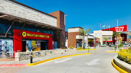 Mazatlán Combat Club - Team Renzo Gracie