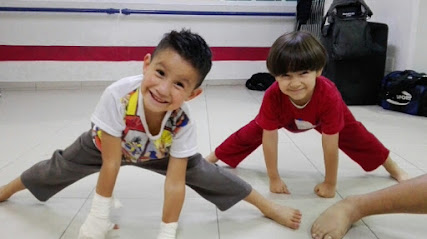 SportFit Dance