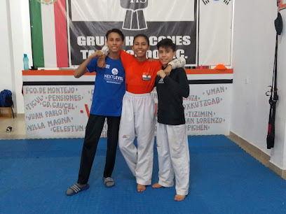 GRUPO HALCONES VALLADOLID TAEKWONDO