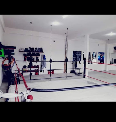 GYM BOXING VALENCIA