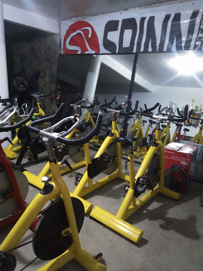 Gimnasio funcional
