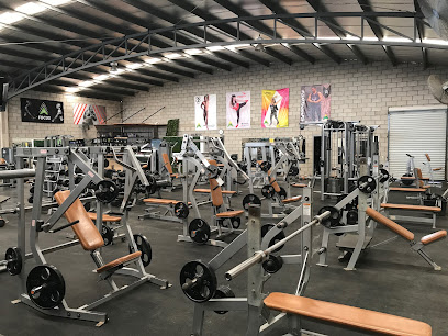 AB FITNESS VG