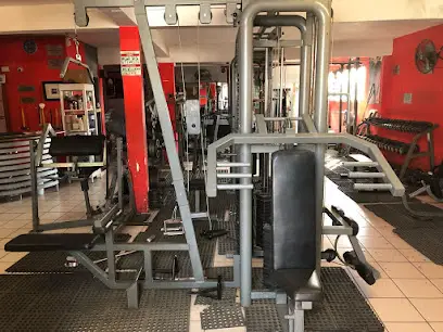 Sfovdra GYM Sucursal Centauro