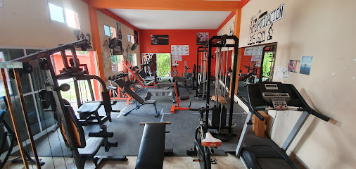 LEO'S GYM ( GIMNASIA MIXTO)