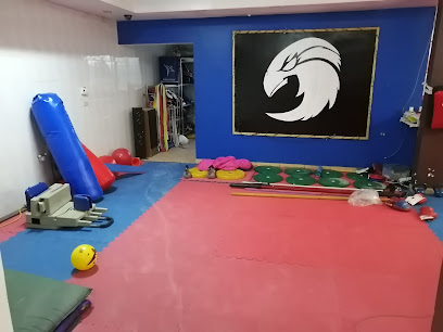 Halcones Taekwondo Pradera