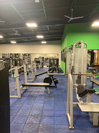 Forcefit Gym