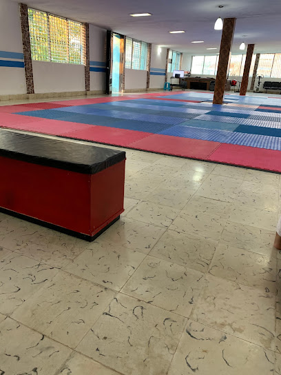 Team Madrigal Taekwondo