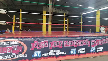 Coliseum Imperial