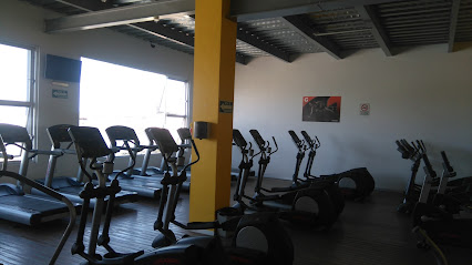Front Gym