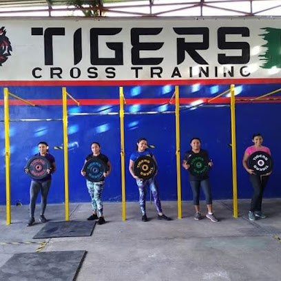 Tigers crossft Valladolid