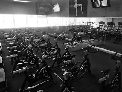 Life Fitness Gym