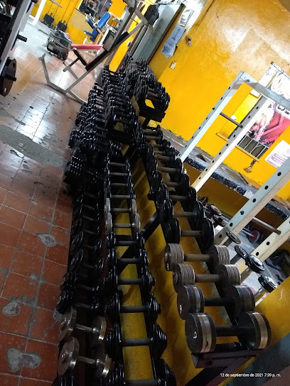 Salgado's Gym