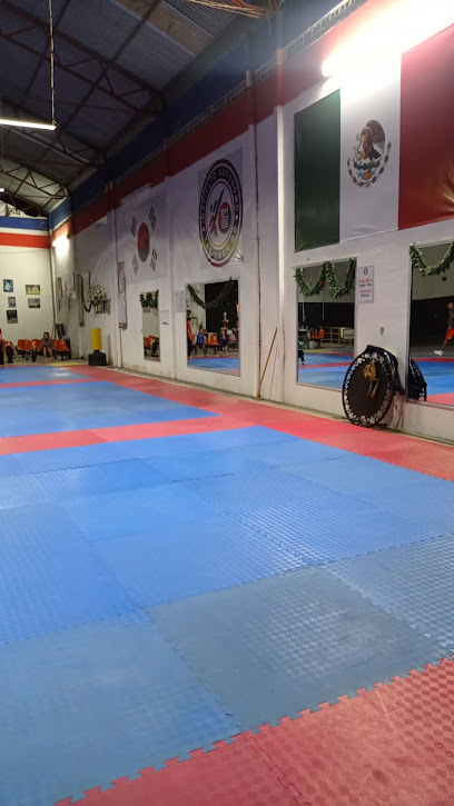 Instituto Autónomo de Taekwondo