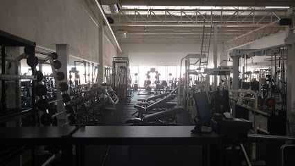 Sport Master GYM