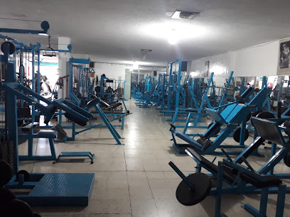 GYM BLANSER