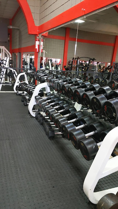 Mega Wenses Fit Gym & Fitness