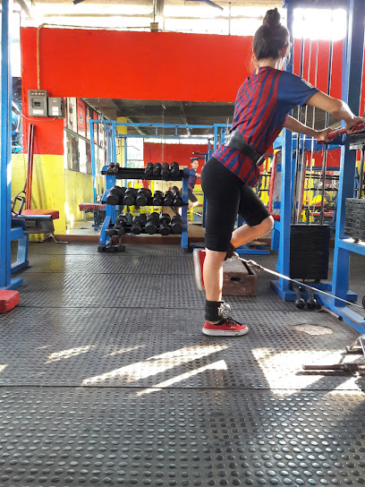 ROMANS GYM 2